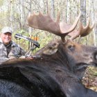 AR13-Davle Goytowski Moose 2013.JPG